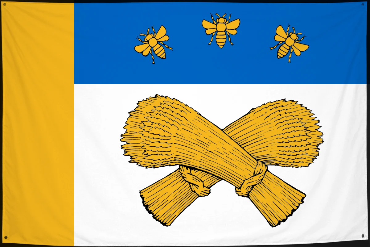 Флаг: Шацкий район